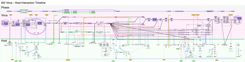 FluMap Flowchart